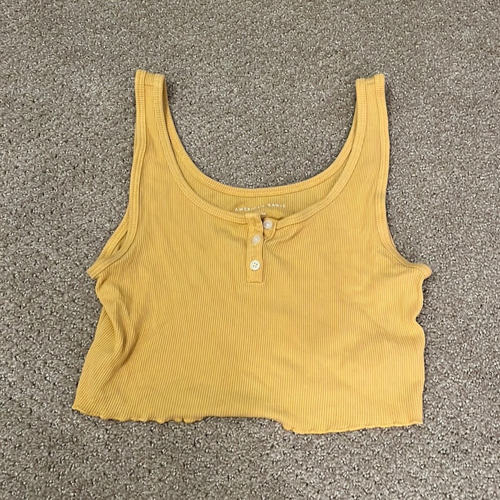 American Eagle Crop Top